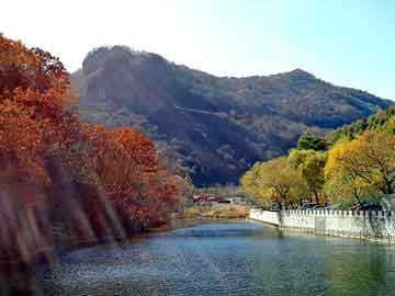 獨(dú)家房子話(huà)術(shù)揭秘，解鎖房產(chǎn)奧秘，引領(lǐng)理想家園之旅