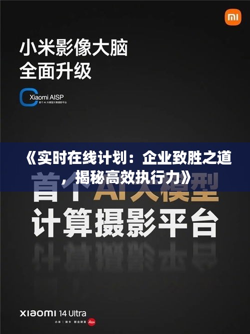 《實(shí)時(shí)在線計(jì)劃：企業(yè)致勝之道，揭秘高效執(zhí)行力》