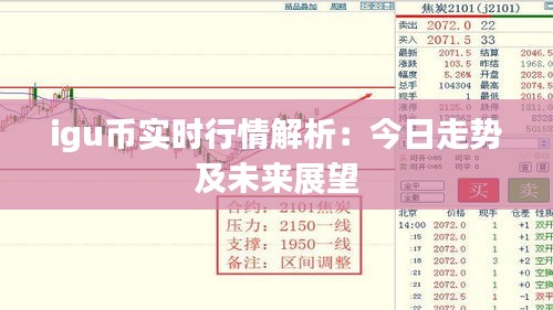 igu幣實時行情解析：今日走勢及未來展望