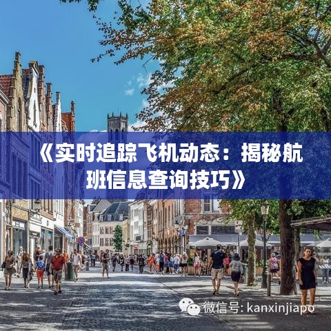 《實(shí)時(shí)追蹤飛機(jī)動(dòng)態(tài)：揭秘航班信息查詢技巧》
