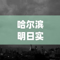 哈爾濱明日實(shí)時(shí)天氣詳解：氣溫、降水、風(fēng)力全解析