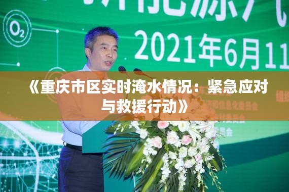 《重慶市區(qū)實時淹水情況：緊急應對與救援行動》
