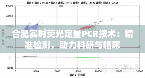 合肥實時熒光定量PCR技術(shù)：精準(zhǔn)檢測，助力科研與臨床