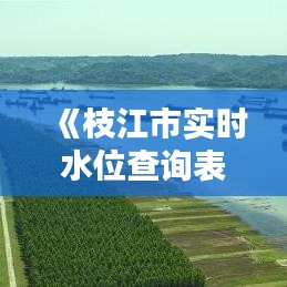 《枝江市實(shí)時(shí)水位查詢表：便捷了解水域動(dòng)態(tài)，守護(hù)安全出行》