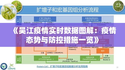 案例展示 第220頁