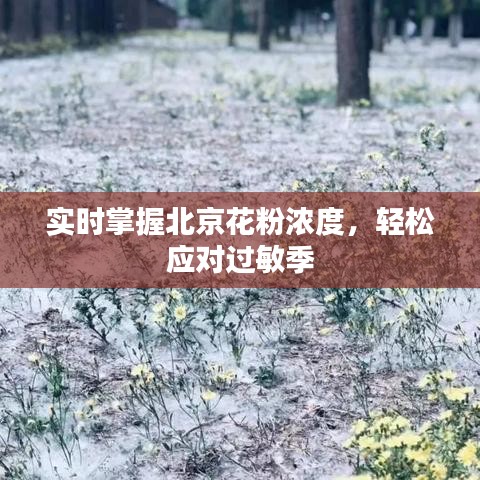 實(shí)時(shí)掌握北京花粉濃度，輕松應(yīng)對(duì)過敏季