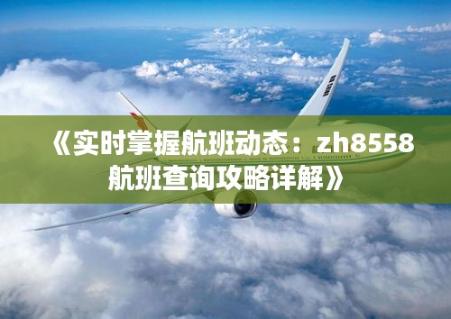《實(shí)時(shí)掌握航班動(dòng)態(tài)：zh8558航班查詢攻略詳解》