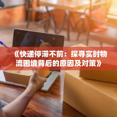 《快遞停滯不前：探尋實時物流困境背后的原因及對策》