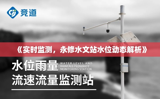 《實時監(jiān)測，永修水文站水位動態(tài)解析》