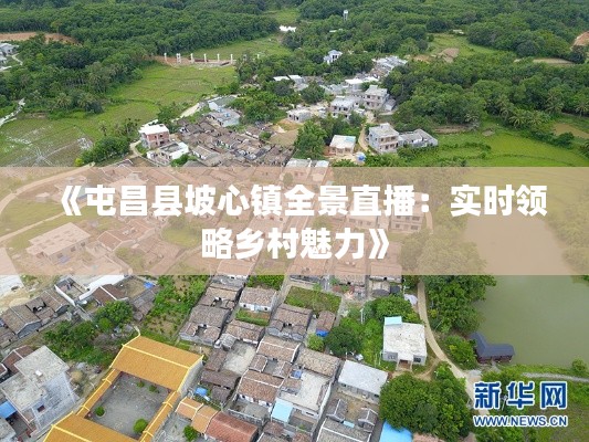《屯昌縣坡心鎮(zhèn)全景直播：實(shí)時(shí)領(lǐng)略鄉(xiāng)村魅力》