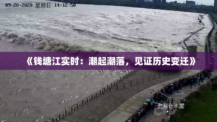 《錢塘江實時：潮起潮落，見證歷史變遷》
