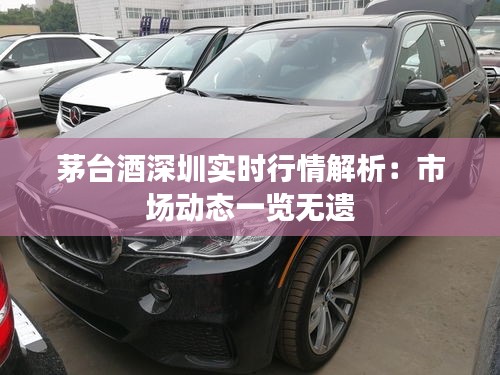 茅臺酒深圳實時行情解析：市場動態(tài)一覽無遺