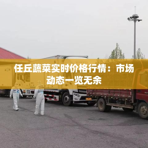 任丘蔬菜實(shí)時(shí)價(jià)格行情：市場動(dòng)態(tài)一覽無余