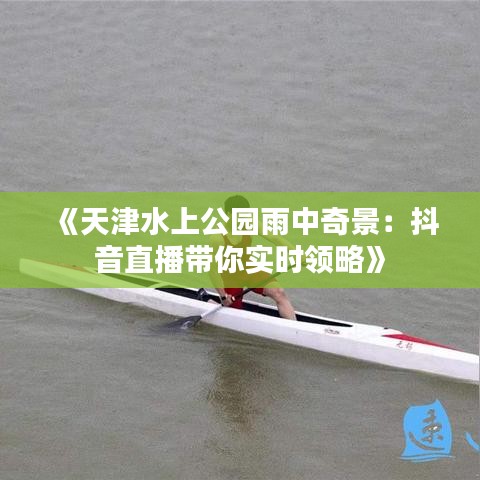 《天津水上公園雨中奇景：抖音直播帶你實時領(lǐng)略》