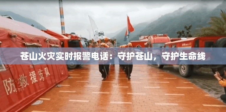 蒼山火災(zāi)實(shí)時(shí)報(bào)警電話：守護(hù)蒼山，守護(hù)生命線