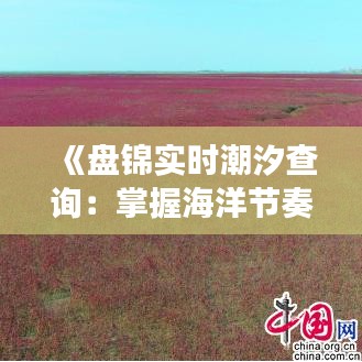 《盤錦實時潮汐查詢：掌握海洋節(jié)奏，暢游海濱生活》