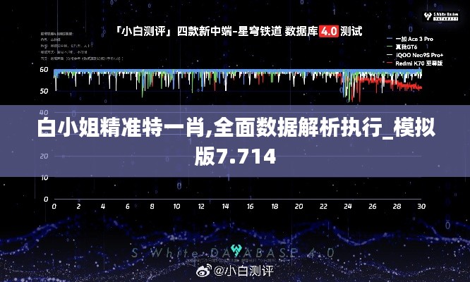 白小姐精準特一肖,全面數據解析執(zhí)行_模擬版7.714