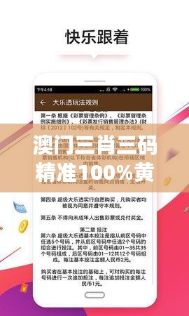 澳門三肖三碼精準100%黃大仙：揭秘黃大仙彩票背后的套路與風險