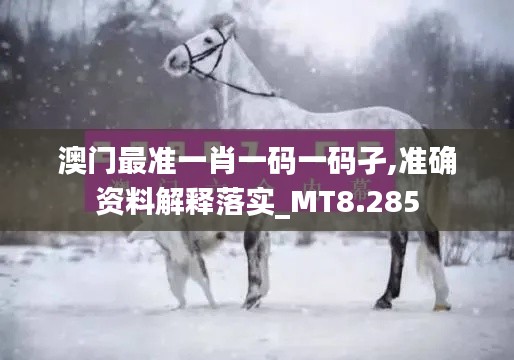 澳門最準一肖一碼一碼孑,準確資料解釋落實_MT8.285