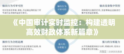 《中國審計(jì)實(shí)時監(jiān)控：構(gòu)建透明高效財(cái)政體系新篇章》