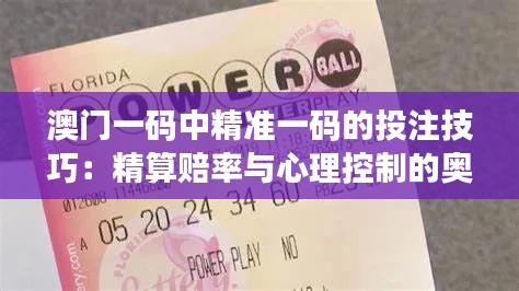 澳門(mén)一碼中精準(zhǔn)一碼的投注技巧：精算賠率與心理控制的奧義