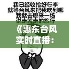 《惠東臺風實時直播：驚心動魄的回放瞬間》