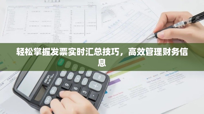輕松掌握發(fā)票實(shí)時(shí)匯總技巧，高效管理財(cái)務(wù)信息