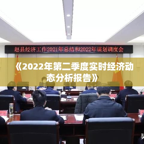 《2022年第二季度實(shí)時經(jīng)濟(jì)動態(tài)分析報(bào)告》