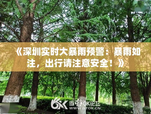 《深圳實時大暴雨預警：暴雨如注，出行請注意安全！》