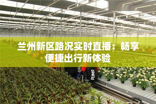 蘭州新區(qū)路況實時直播：暢享便捷出行新體驗