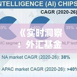 《實時洞察：外匯基金數(shù)據(jù)解析與市場動態(tài)》