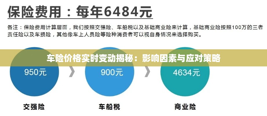 車險價格實時變動揭秘：影響因素與應對策略
