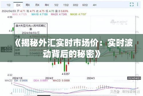 《揭秘外匯實(shí)時(shí)市場(chǎng)價(jià)：實(shí)時(shí)波動(dòng)背后的秘密》