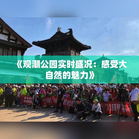 《觀潮公園實(shí)時(shí)盛況：感受大自然的魅力》