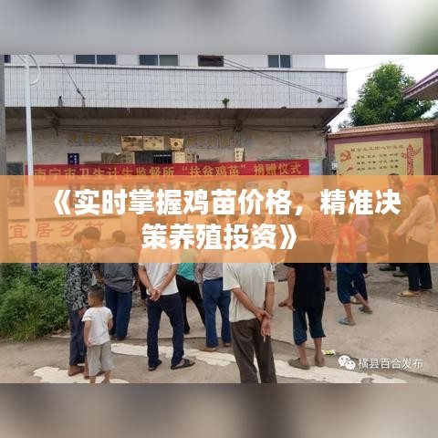 《實(shí)時掌握雞苗價(jià)格，精準(zhǔn)決策養(yǎng)殖投資》