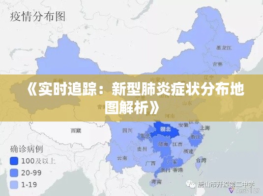 《實時追蹤：新型肺炎癥狀分布地圖解析》