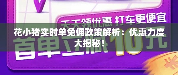 花小豬實(shí)時單免傭政策解析：優(yōu)惠力度大揭秘！