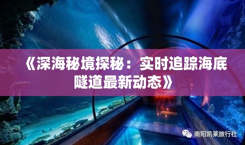《深海秘境探秘：實(shí)時(shí)追蹤海底隧道最新動(dòng)態(tài)》