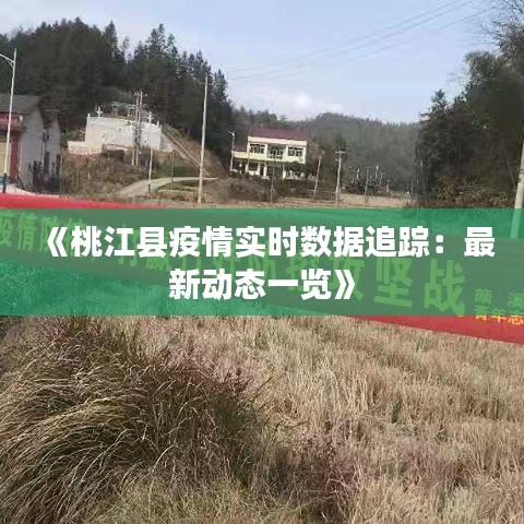 《桃江縣疫情實時數(shù)據(jù)追蹤：最新動態(tài)一覽》