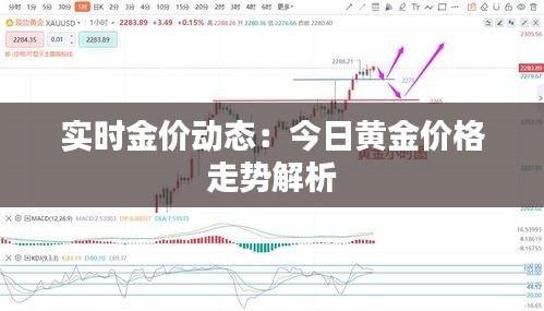 實時金價動態(tài)：今日黃金價格走勢解析