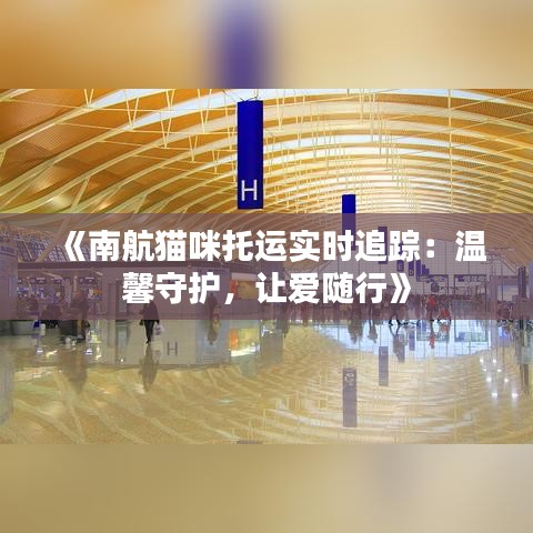《南航貓咪托運實時追蹤：溫馨守護，讓愛隨行》