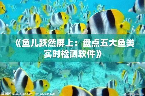 《魚兒躍然屏上：盤點五大魚類實時檢測軟件》