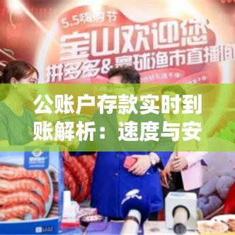 公賬戶存款實時到賬解析：速度與安全并重