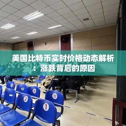 美國比特幣實(shí)時(shí)價(jià)格動(dòng)態(tài)解析：漲跌背后的原因