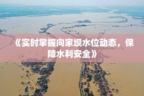 《實時掌握向家壩水位動態(tài)，保障水利安全》