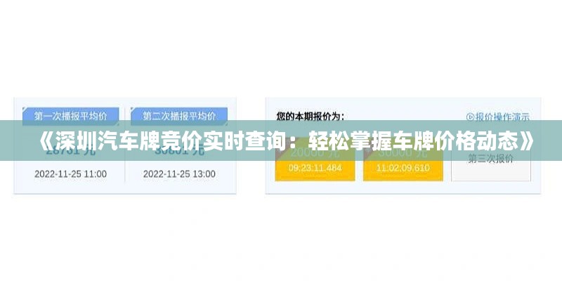 《深圳汽車牌競價(jià)實(shí)時(shí)查詢：輕松掌握車牌價(jià)格動(dòng)態(tài)》