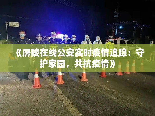 《孱陵在線公安實時疫情追蹤：守護(hù)家園，共抗疫情》
