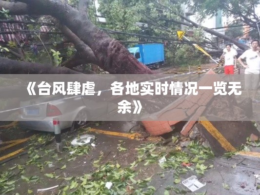 《臺風(fēng)肆虐，各地實時情況一覽無余》