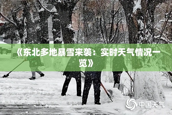 《東北多地暴雪來襲：實(shí)時(shí)天氣情況一覽》