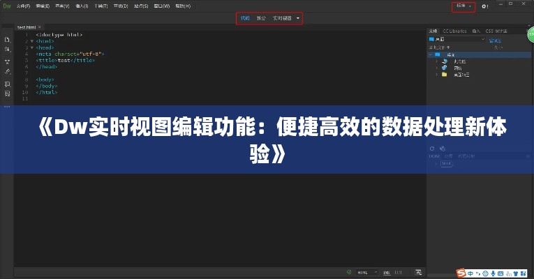 《Dw實時視圖編輯功能：便捷高效的數(shù)據(jù)處理新體驗》